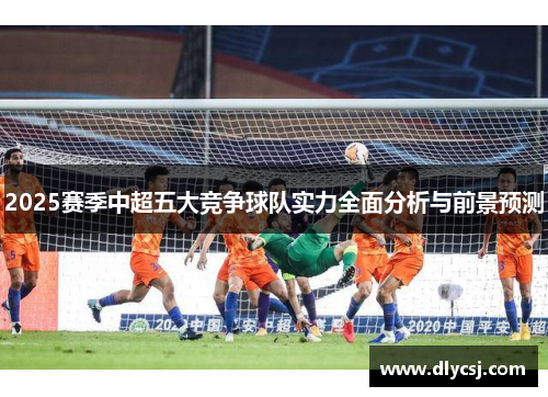 2025赛季中超五大竞争球队实力全面分析与前景预测
