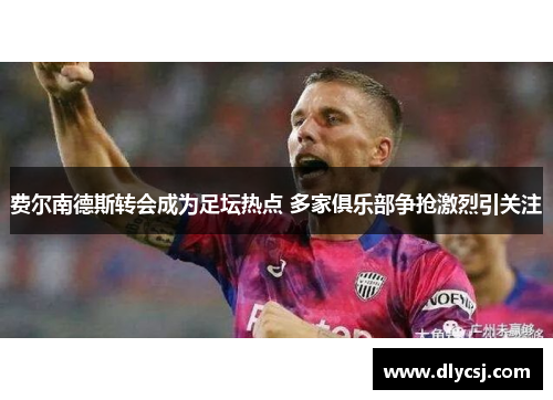 费尔南德斯转会成为足坛热点 多家俱乐部争抢激烈引关注 费尔南德斯转会成为足坛热点 多家俱乐部争抢激烈引关注