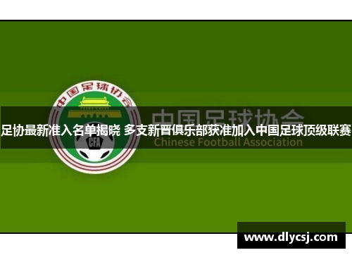 足协最新准入名单揭晓 多支新晋俱乐部获准加入中国足球顶级联赛 足协最新准入名单揭晓 多支新晋俱乐部获准加入中国足球顶级联赛