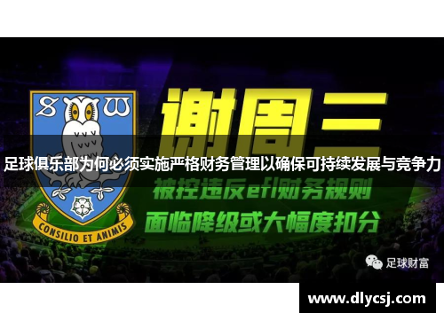 足球俱乐部为何必须实施严格财务管理以确保可持续发展与竞争力 足球俱乐部为何必须实施严格财务管理以确保可持续发展与竞争力